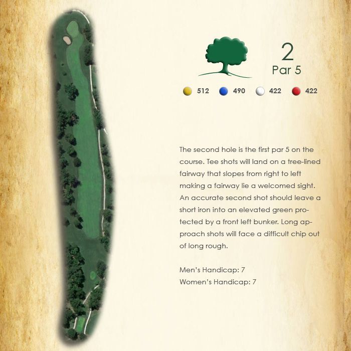 A picture of a golf course with the number 2 on it