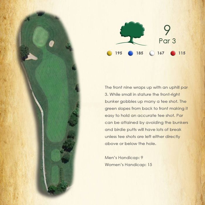 A picture of a golf course with the number 9 on it