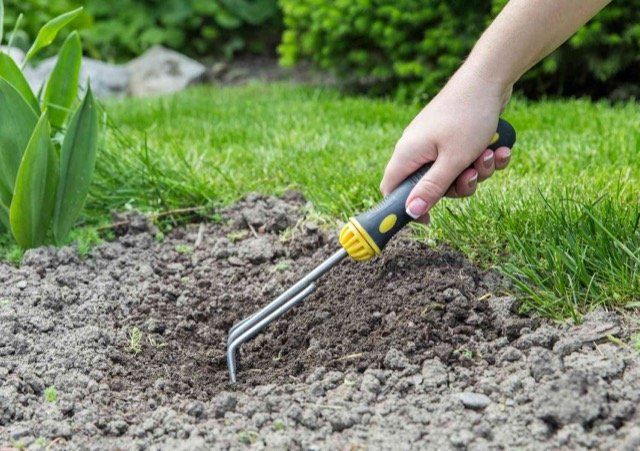 power raking langley BC