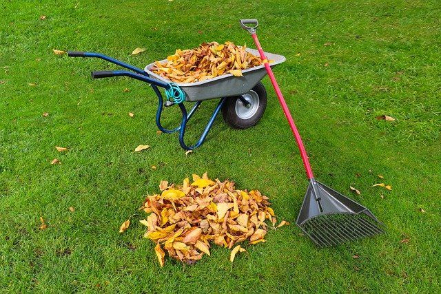landscaping in fall langley BC