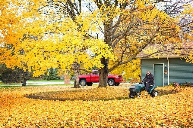 what kind of landscaping can be done in the fall langley BC
