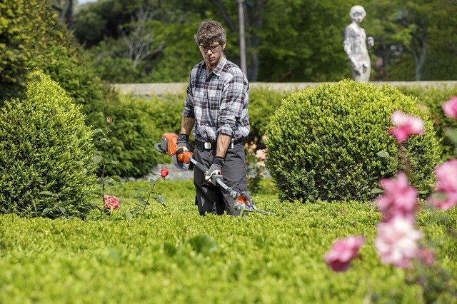 hedge cutting langley BC