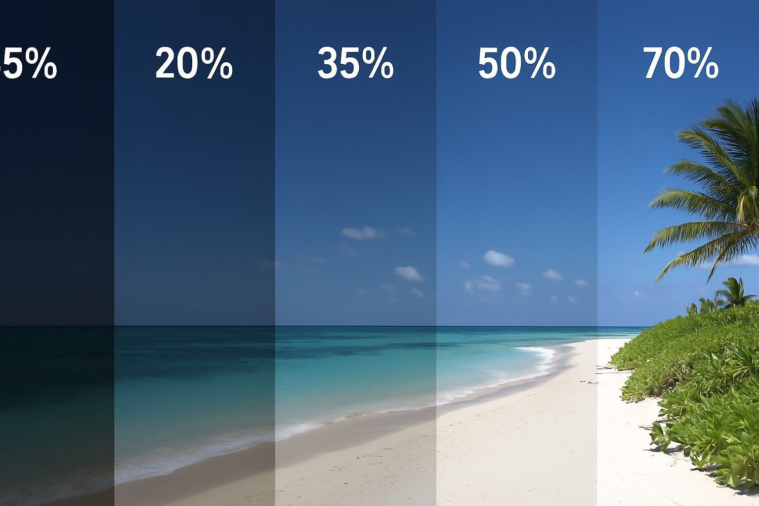Beach scene with overlayed opacity bars labeled 5%, 20%, 35%, 50%, and 70%