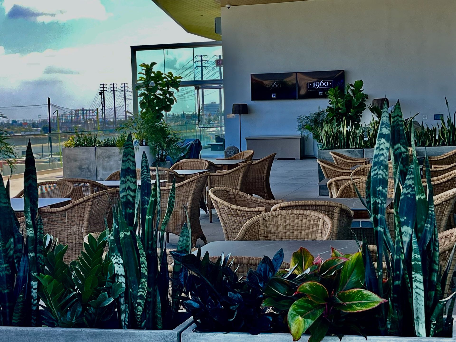 Rooftop café with wicker chairs, potted plants, and city skyline views at sunset