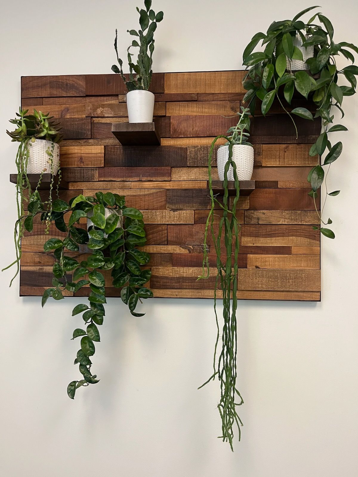 A wooden shelf with potted plants hanging from it.