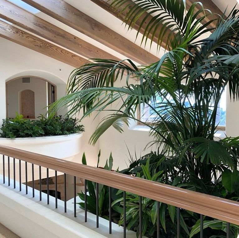 A balcony with palm trees and a railing