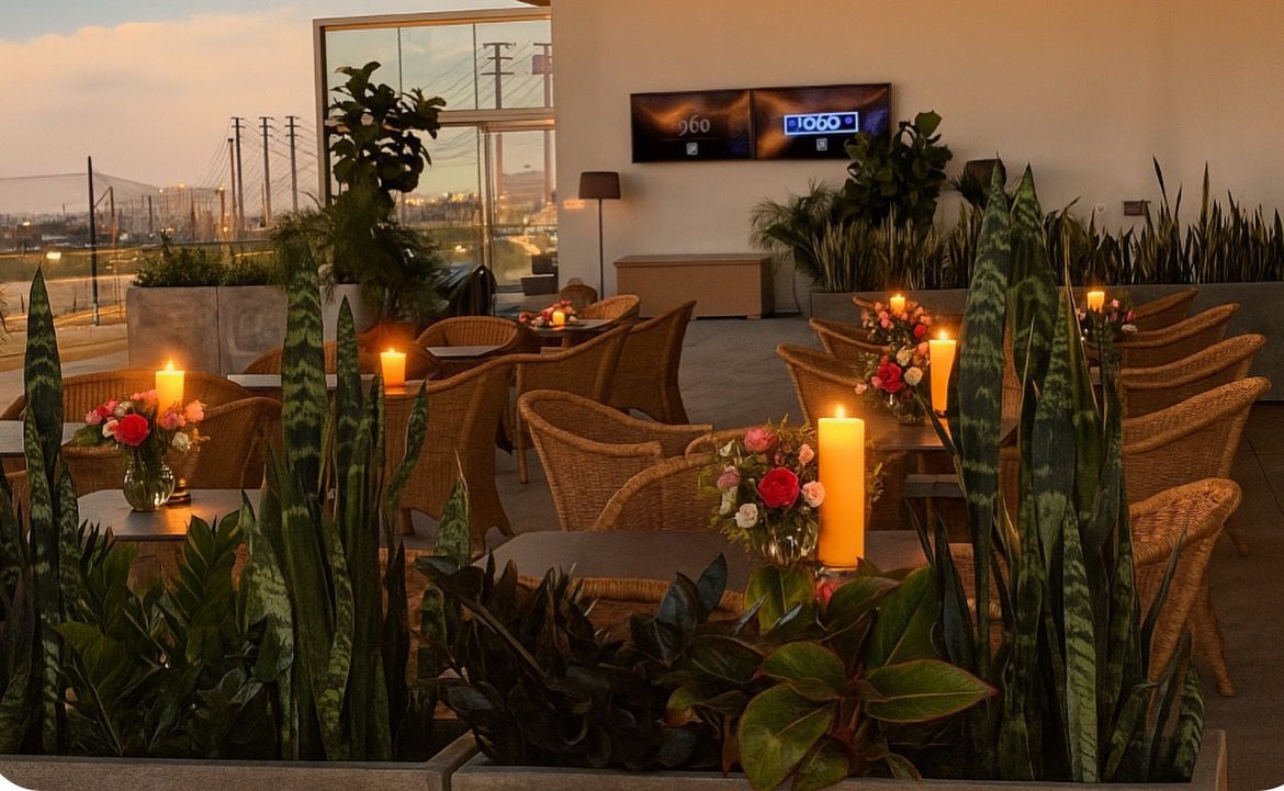 Bright indoor atrium with potted palms, white walls, exposed wood beams, and a wooden-and-black railing