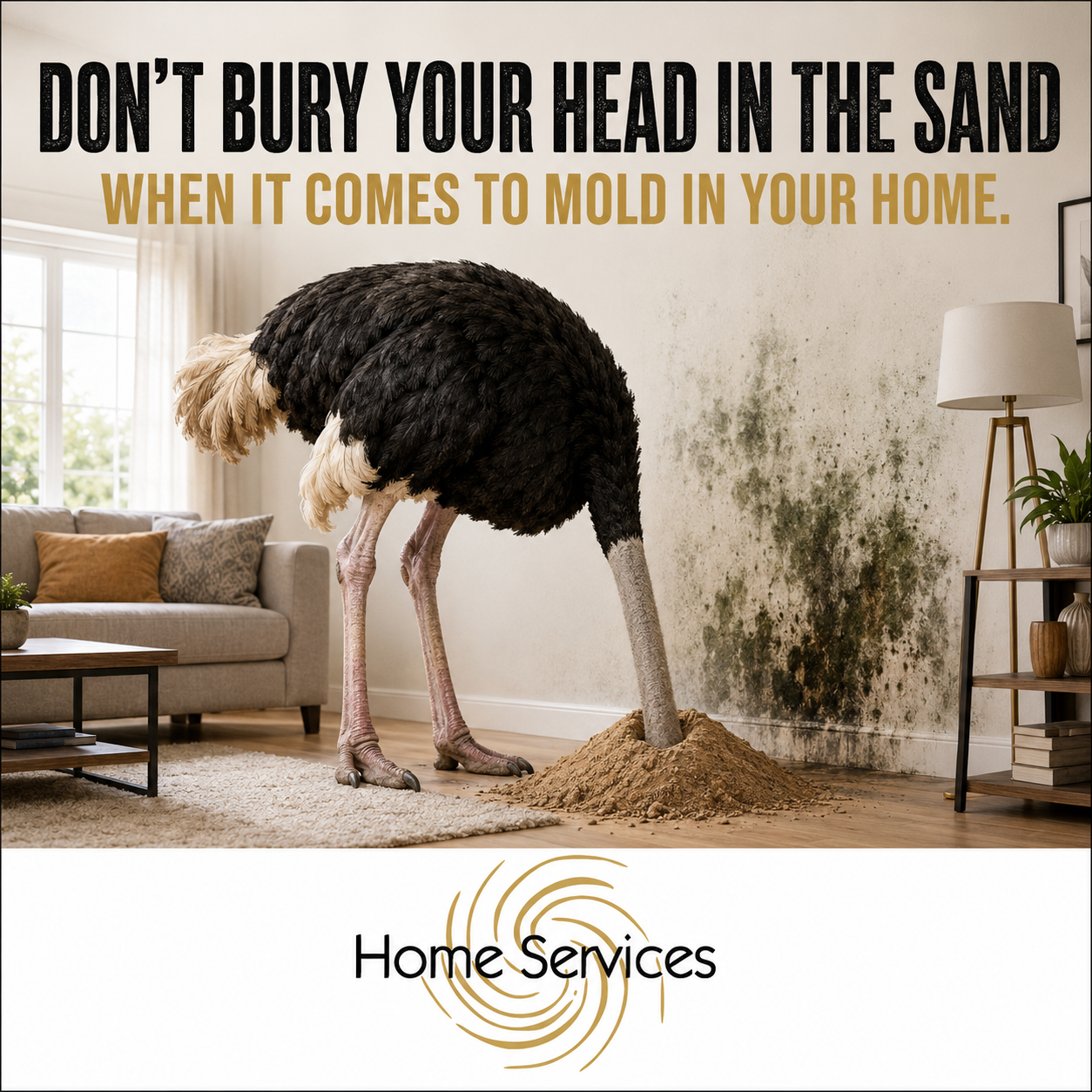 A humorous look at a homeowner discovering mold in a Southern Maryland basement.