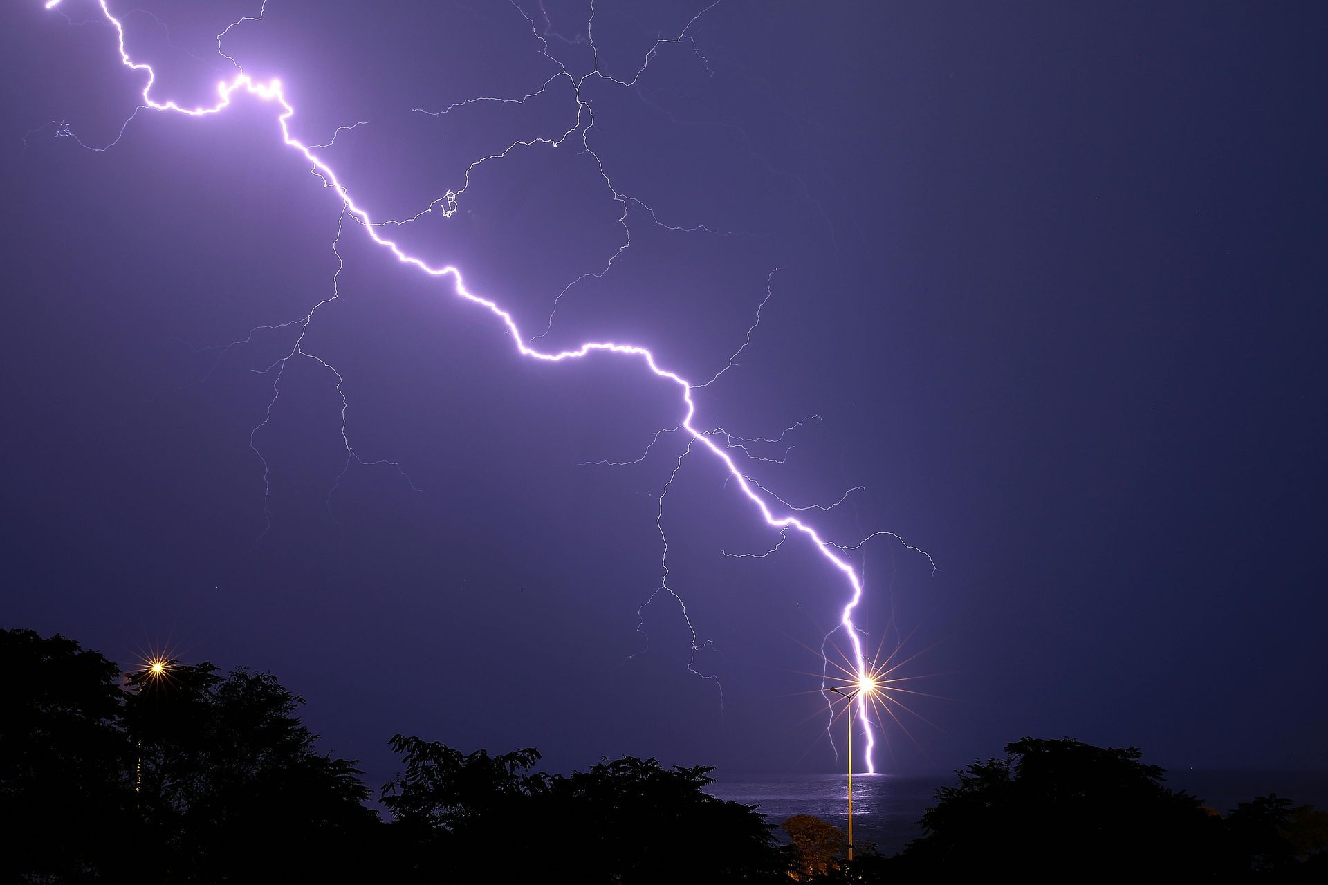 A bright purple bolt of lightning strikes the horizon above dark silhouettes of trees against a nighttime sky.