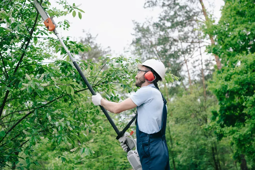 pennsylvania tree care