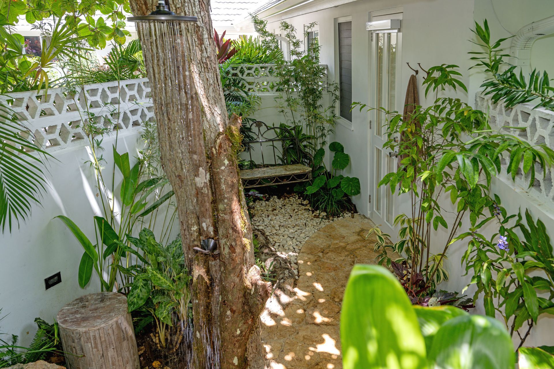 Abacus Luxury Villa Montego Bay garden