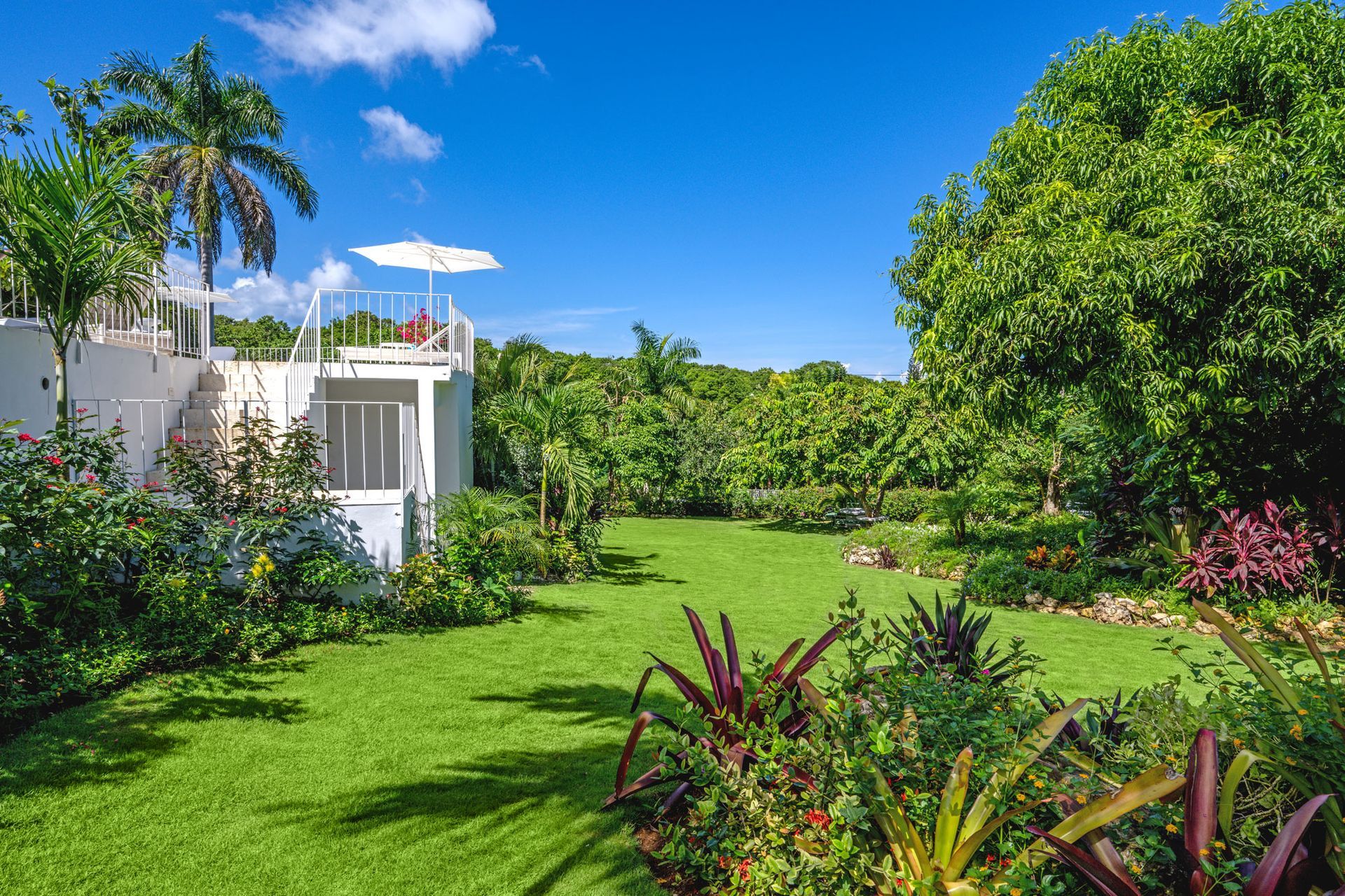 Abacus Luxury Villa Montego Bay garden
