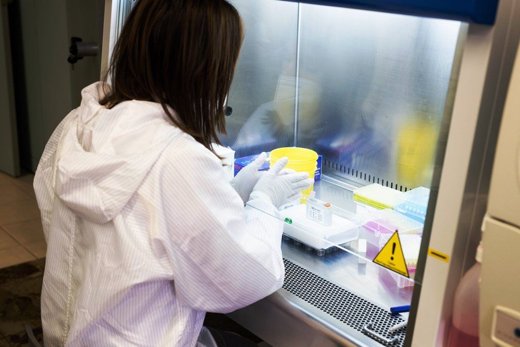 Un operatore di laboratorio in tuta bianca e guanti lavora con campioni gialli all'interno di un armadio sterile.