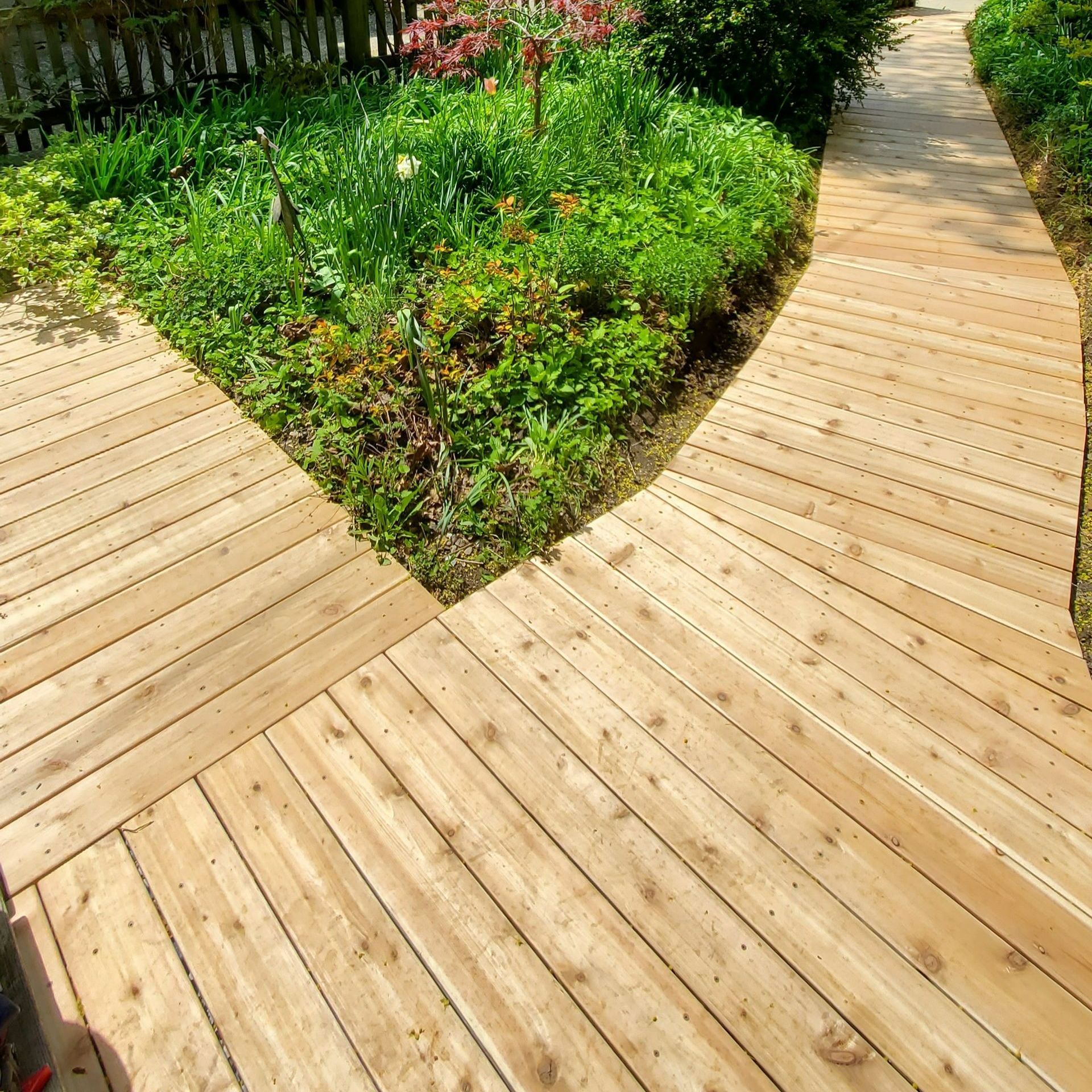 A wooden walkway going through a garden with a fence in the background