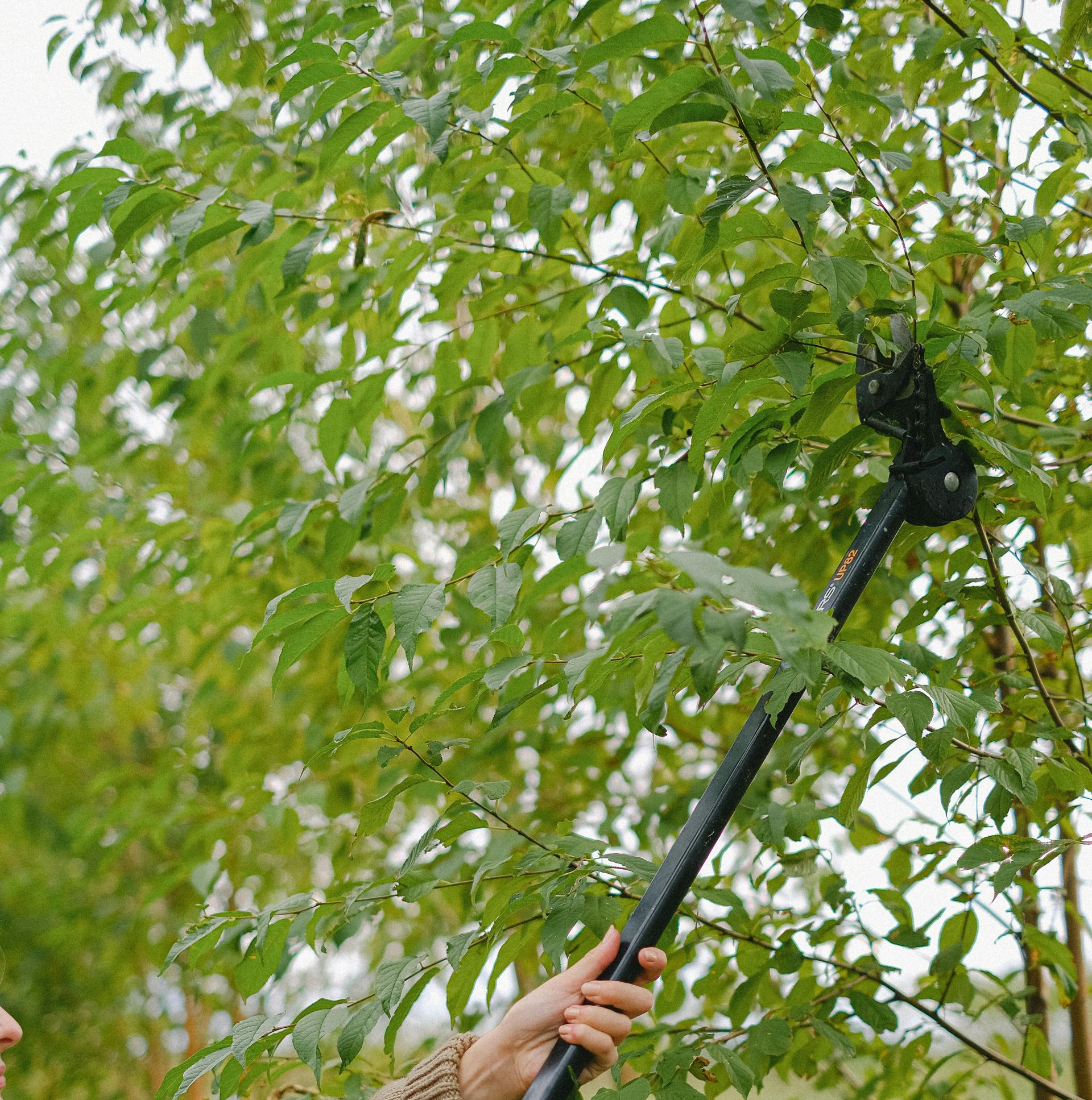 A close up of a high pressure washer spraying water on a concrete surface.