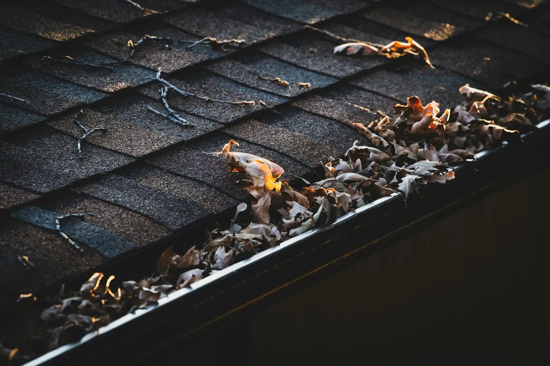 gutter filled with fall leaves needing cleaning on a Spartanburg SC home, True North Handyman