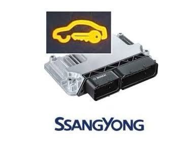 Ssangyong Immobiliser Delete NZ
