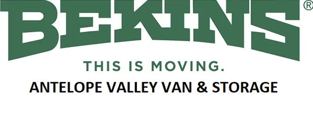 Using Forklift To Get Boxes From Storage — Palmdale, CA — Antelope Valley Van & Storage