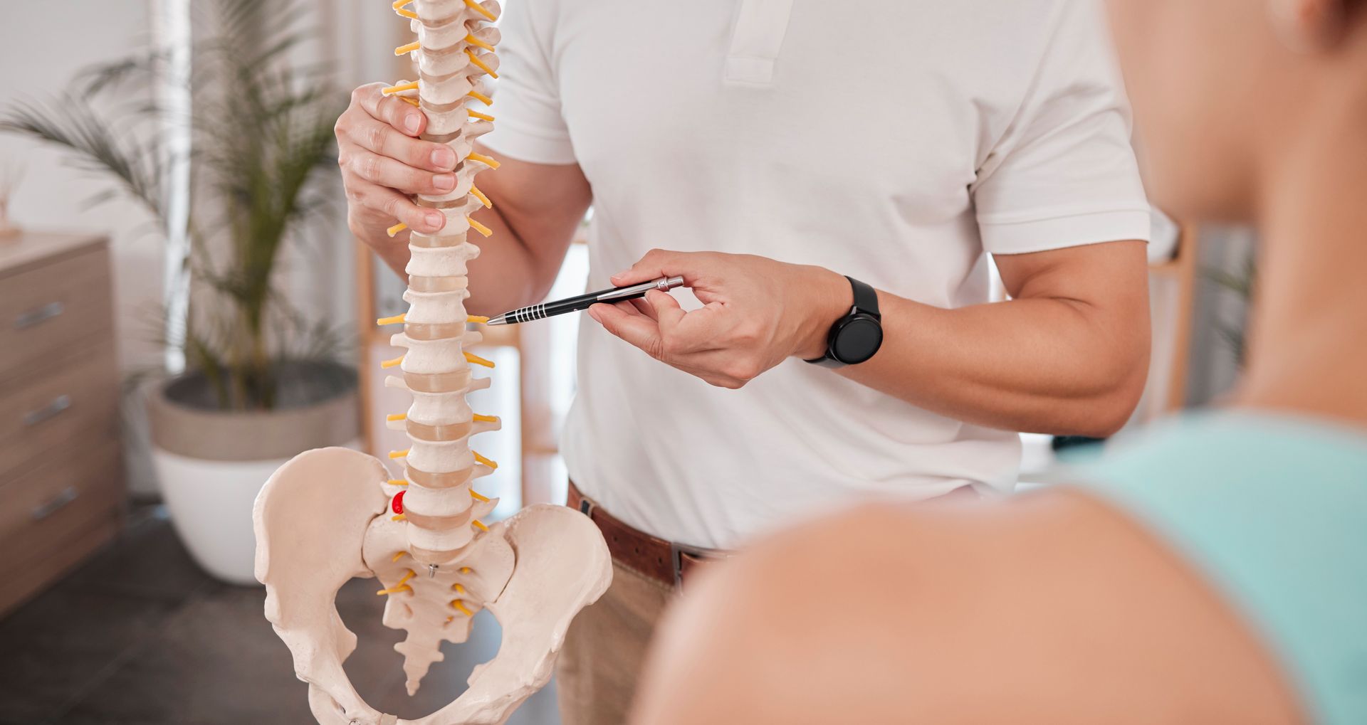 Physio Showing Spine — Inner Balance Health in Coconut Grove, NT