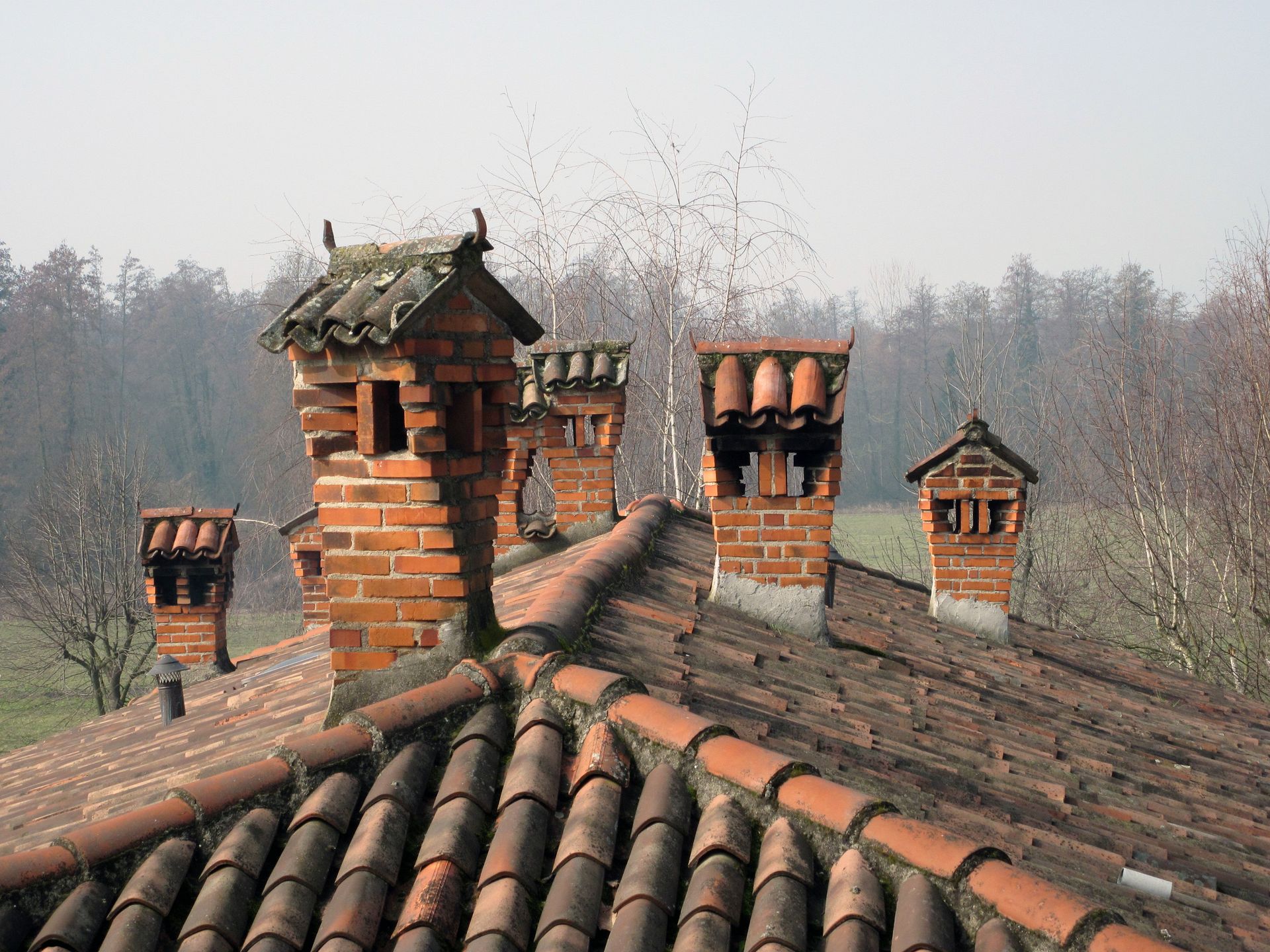 Rooftop with multiple brick chimneys and terracotta tiles against a hazy, leafless forest background