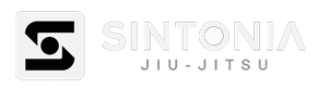 Kaizen Jiu Jitsu Club logo with tiger, green and white on a black octagon.