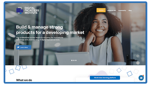 Digital frontiers Institute
