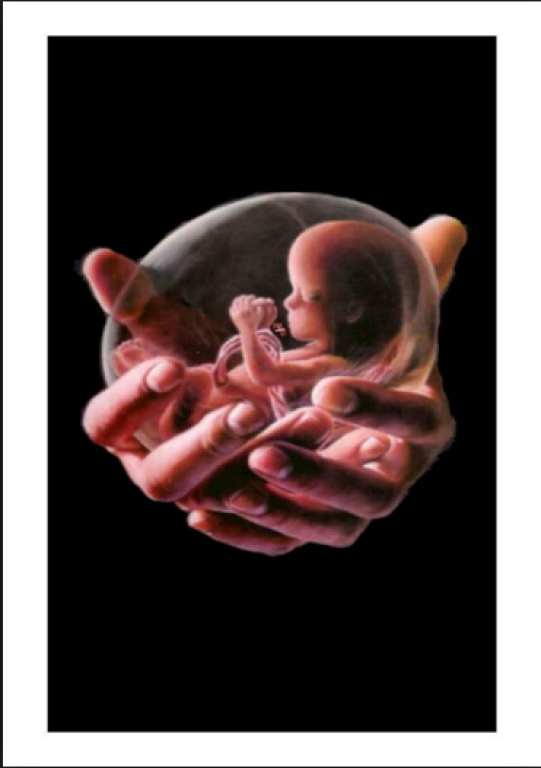 Respect Life Ministry