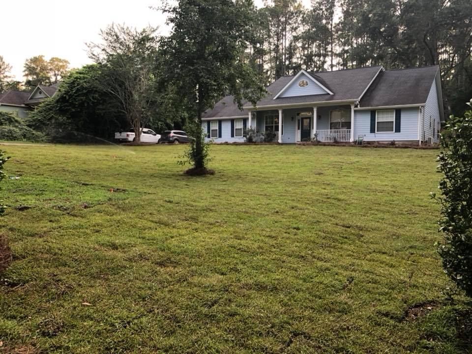 Wide grassy yard with a small tree and a white house in the background