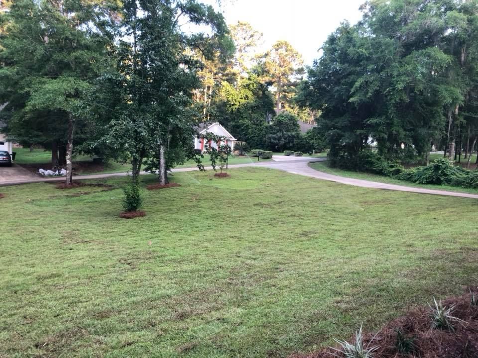 Grassy park with trees and a winding path near a small white house