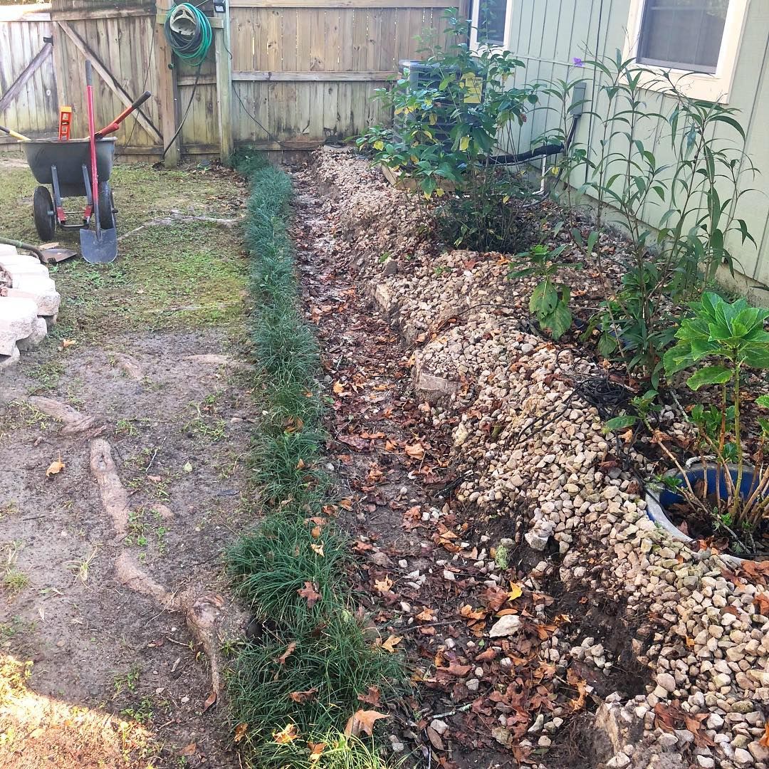 Narrow garden bed lined with rocks beside a fence, with green plants and dry leaves along a yard wall.