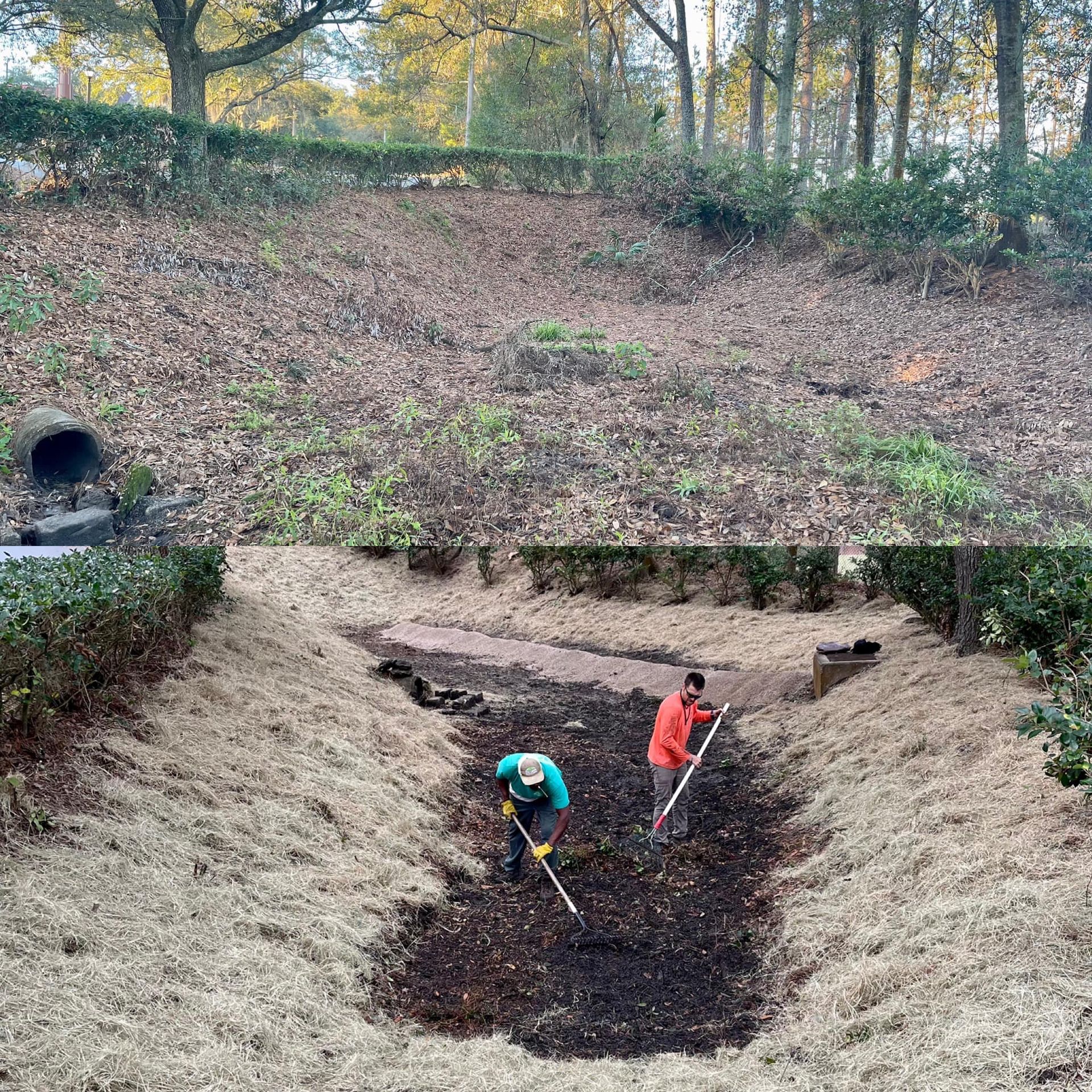 Two people digging in a wooded drainage ditch on a steep leaf-covered slope
