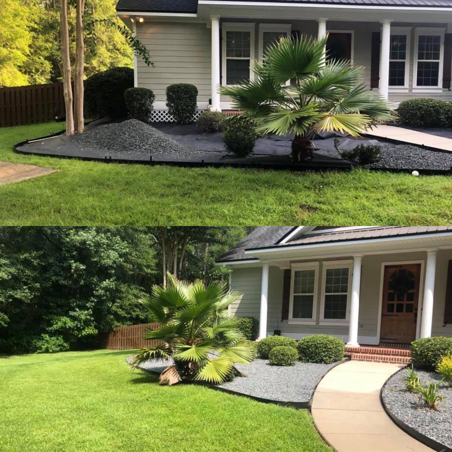 Front yard landscaping with palm tree, black mulch beds, green lawn, and a curved walkway by a house