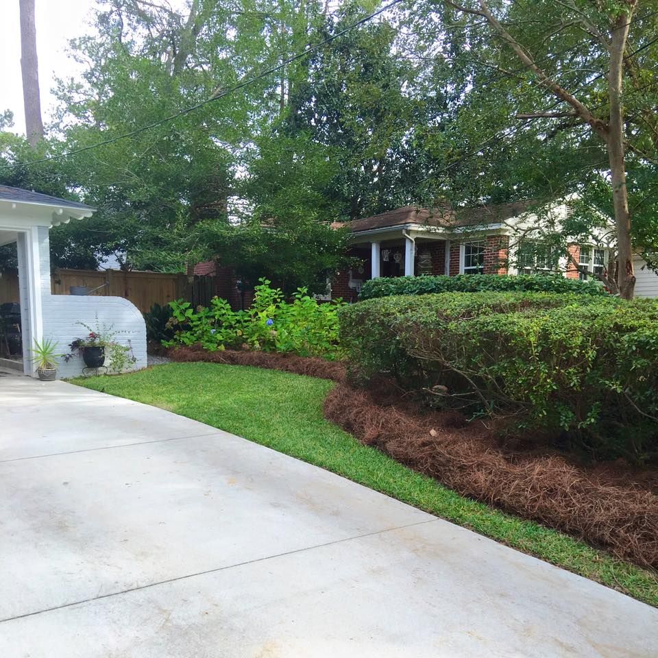 Driveway beside a landscaped yard with trimmed hedges, trees, and a house in the background.