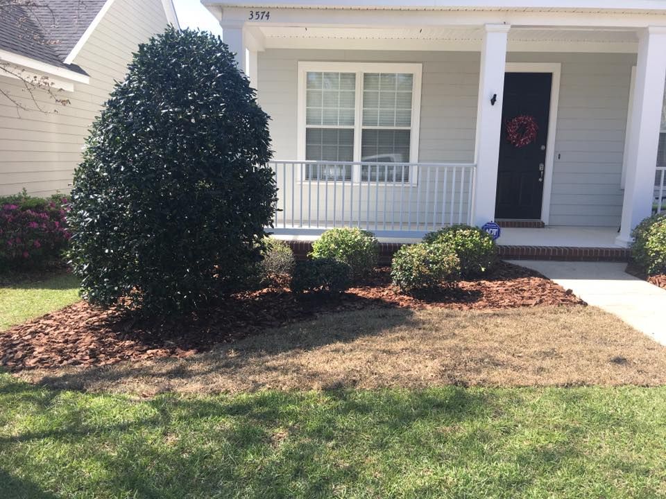 Front porch of a beige house with white trim, black door, and landscaped shrubs and lawn