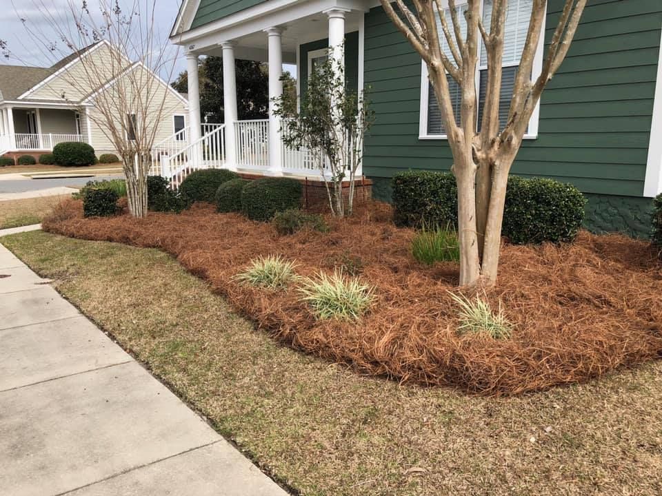 Front yard with green house, porch, sidewalk, and mulched landscaping with shrubs and trees