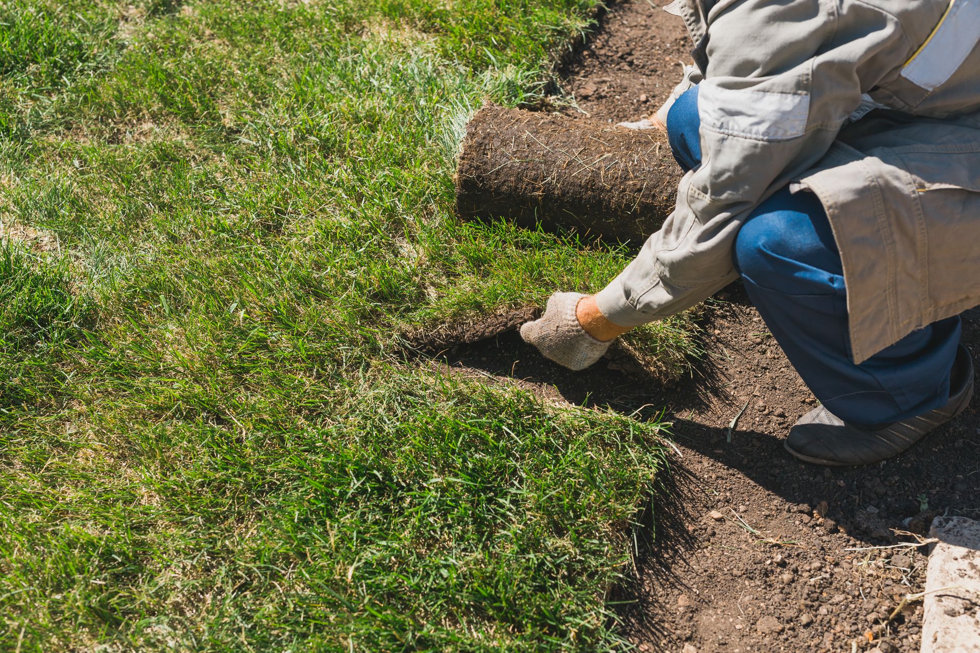 Worker laying sod on a grassy lawn with a roll of turf and soil visible nearby