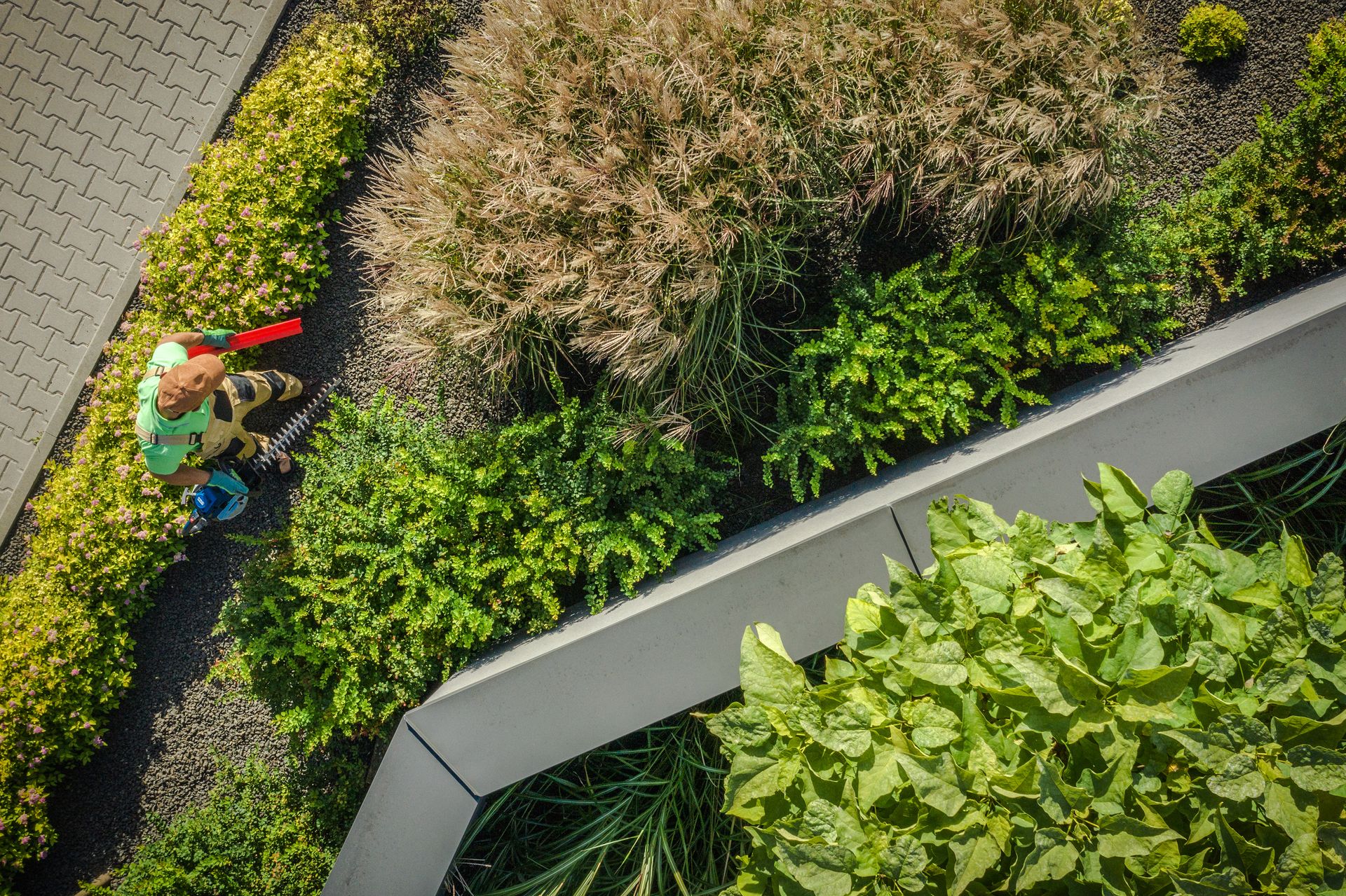 Person tending plants in a landscaped garden beside a paved walkway