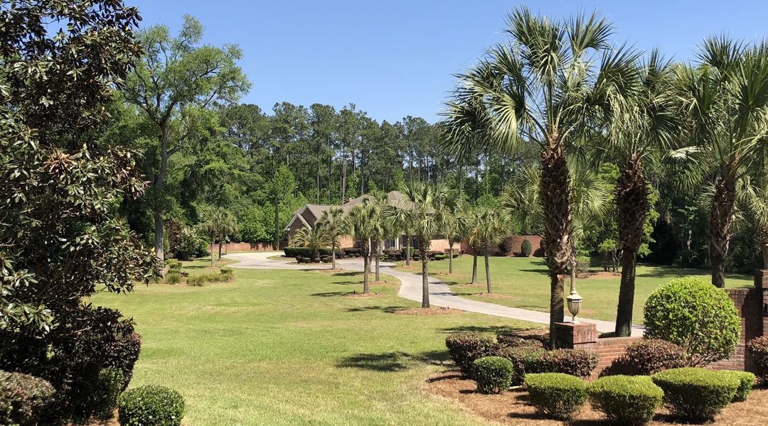 Sunny garden with green lawn, palm trees, shrubs, and a paved path leading to thatched huts.
