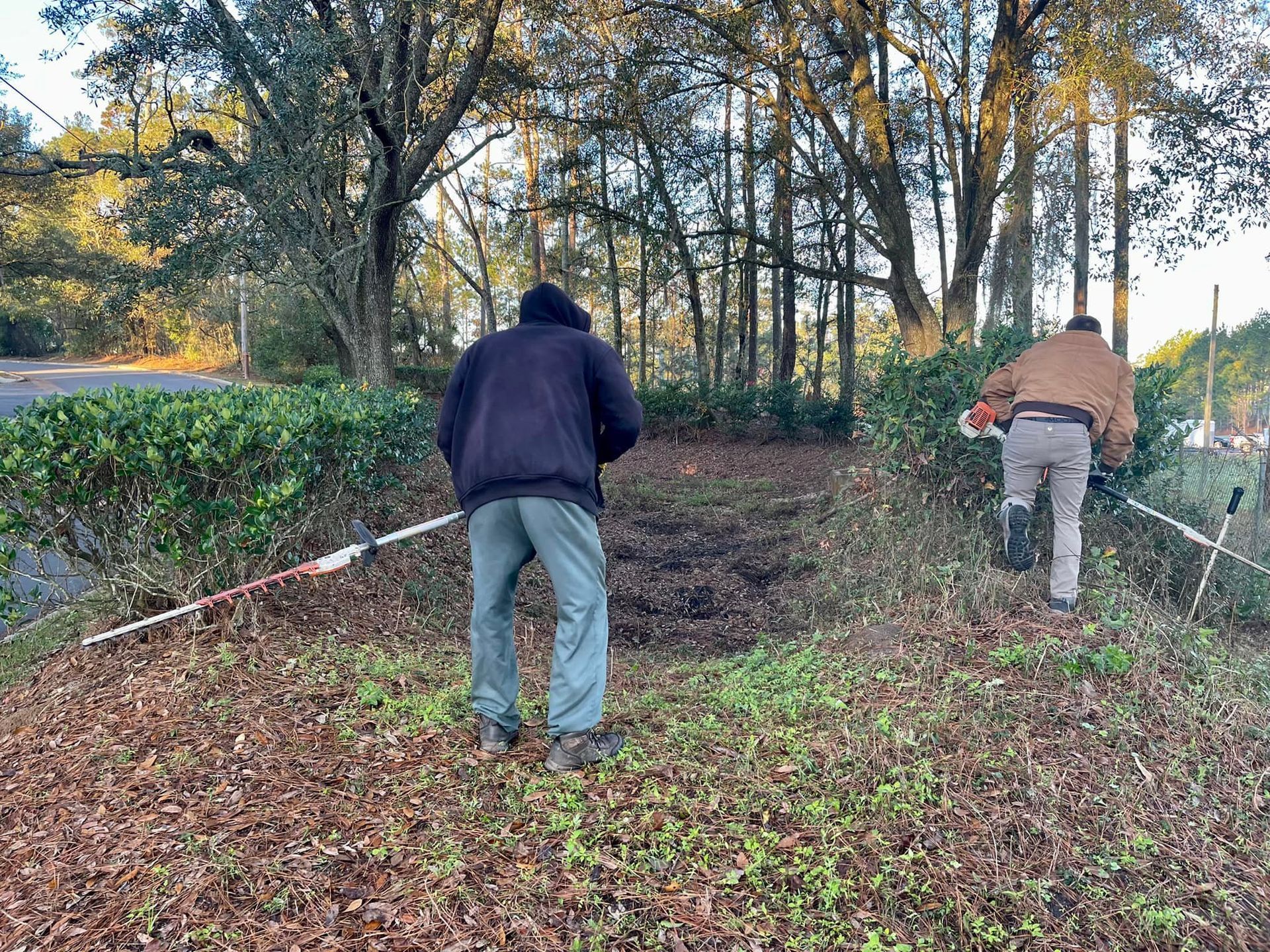 Two people working in a leaf-covered yard, raking near a wooded edge with caution tape.