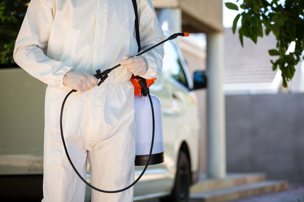 Residential Pest Management in Albury Border Pest Control