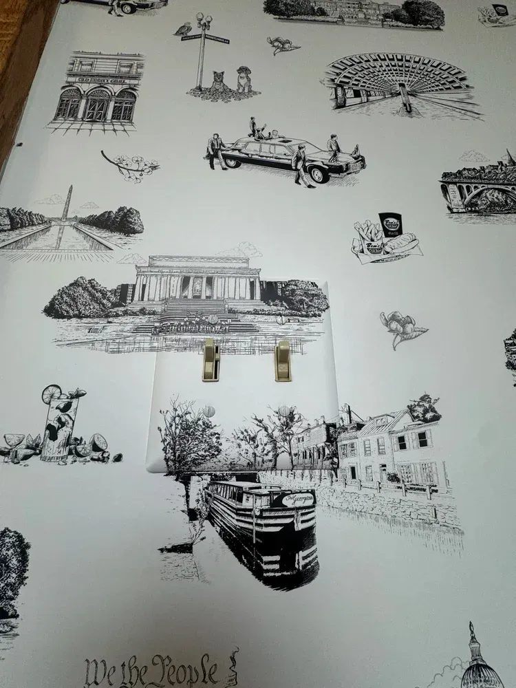 Wall covering featuring black-and-white line drawings of Washington, D.C. landmarks, surrounding a dual light switch.
