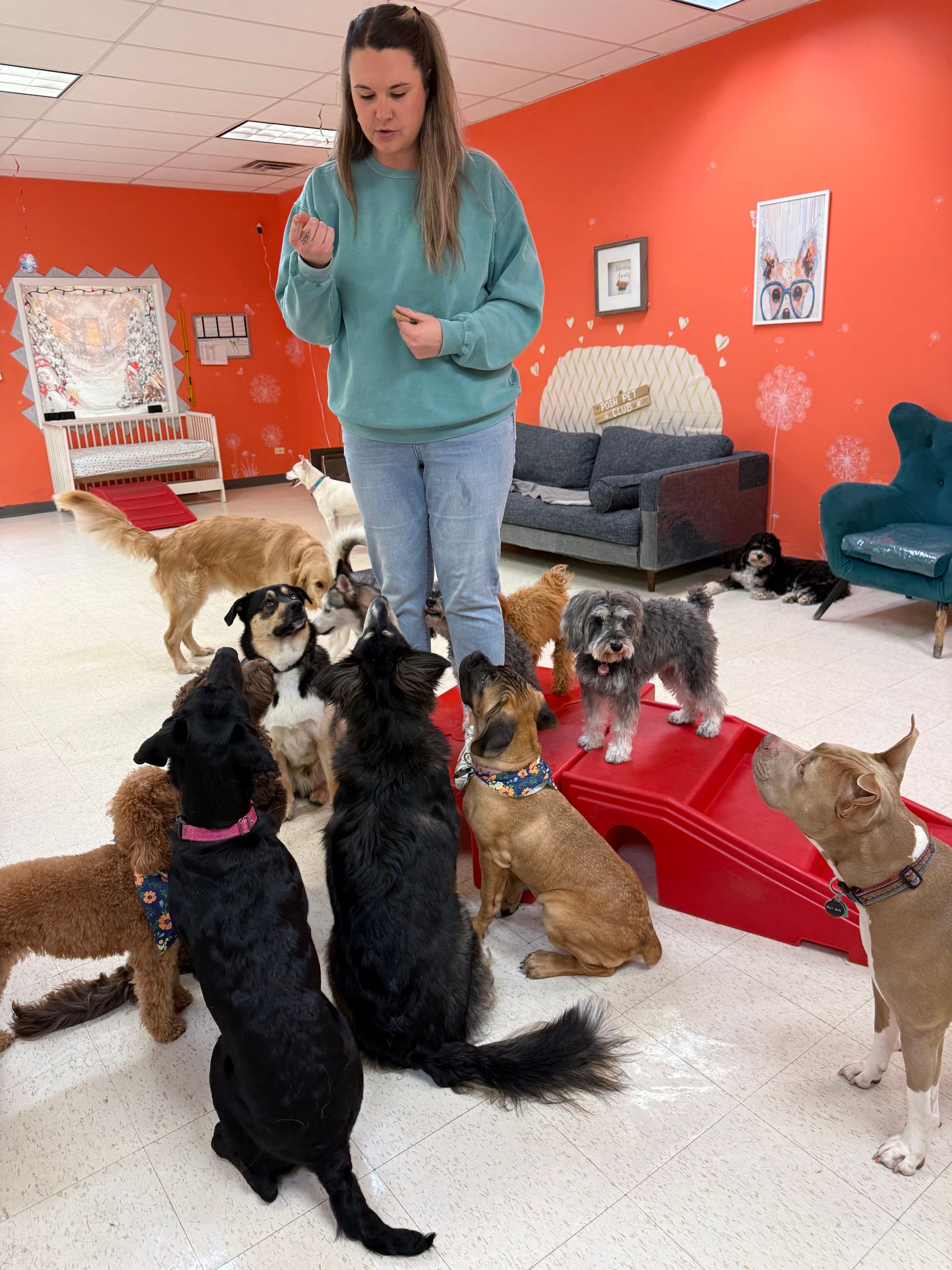 Woman stands in a pet room surrounded by several cats and dogs on a red-and-white floor.