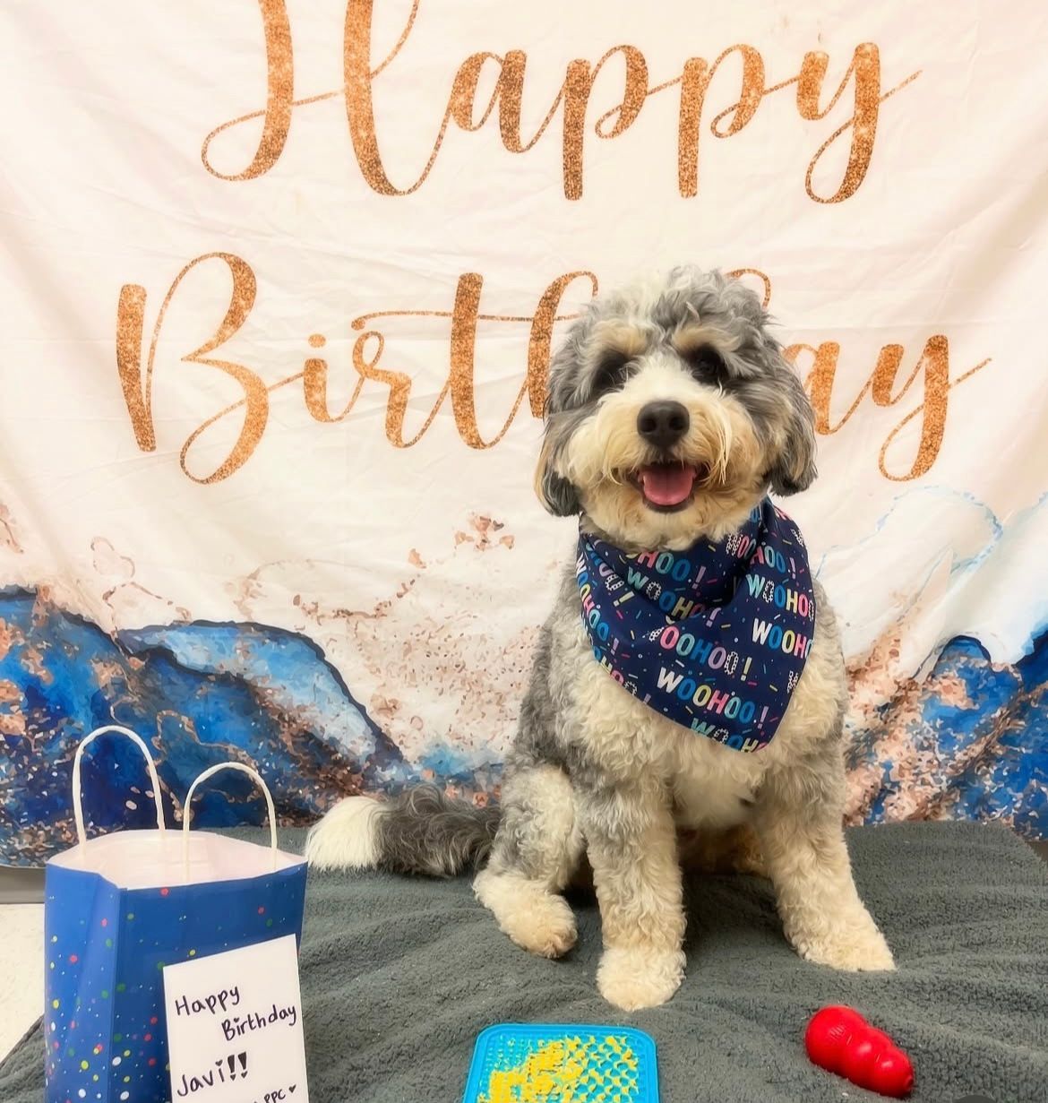 A dog is sitting in front of a happy birthday banner