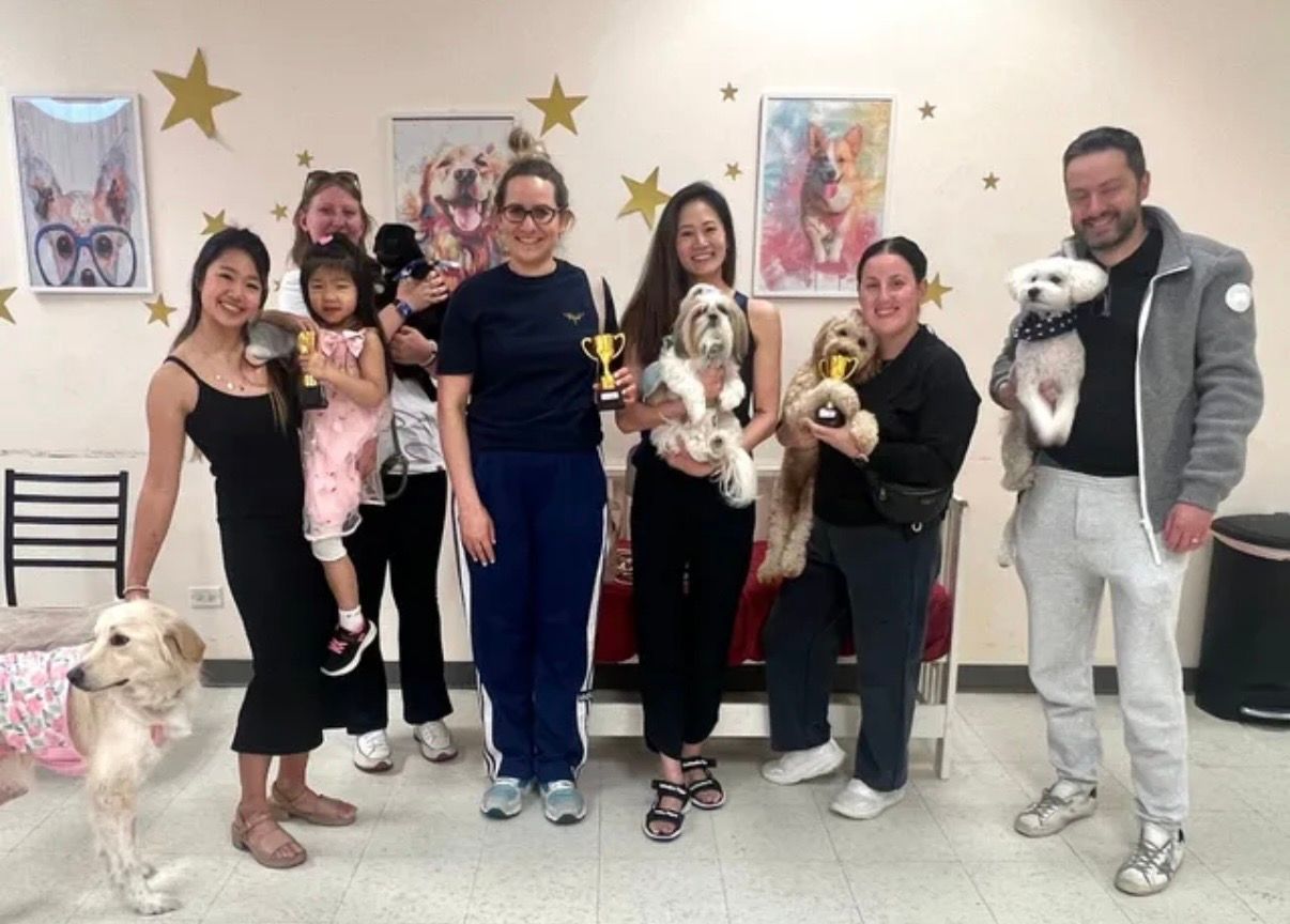 Group of people holding small dogs at a pet event, smiling in front of star decorations.