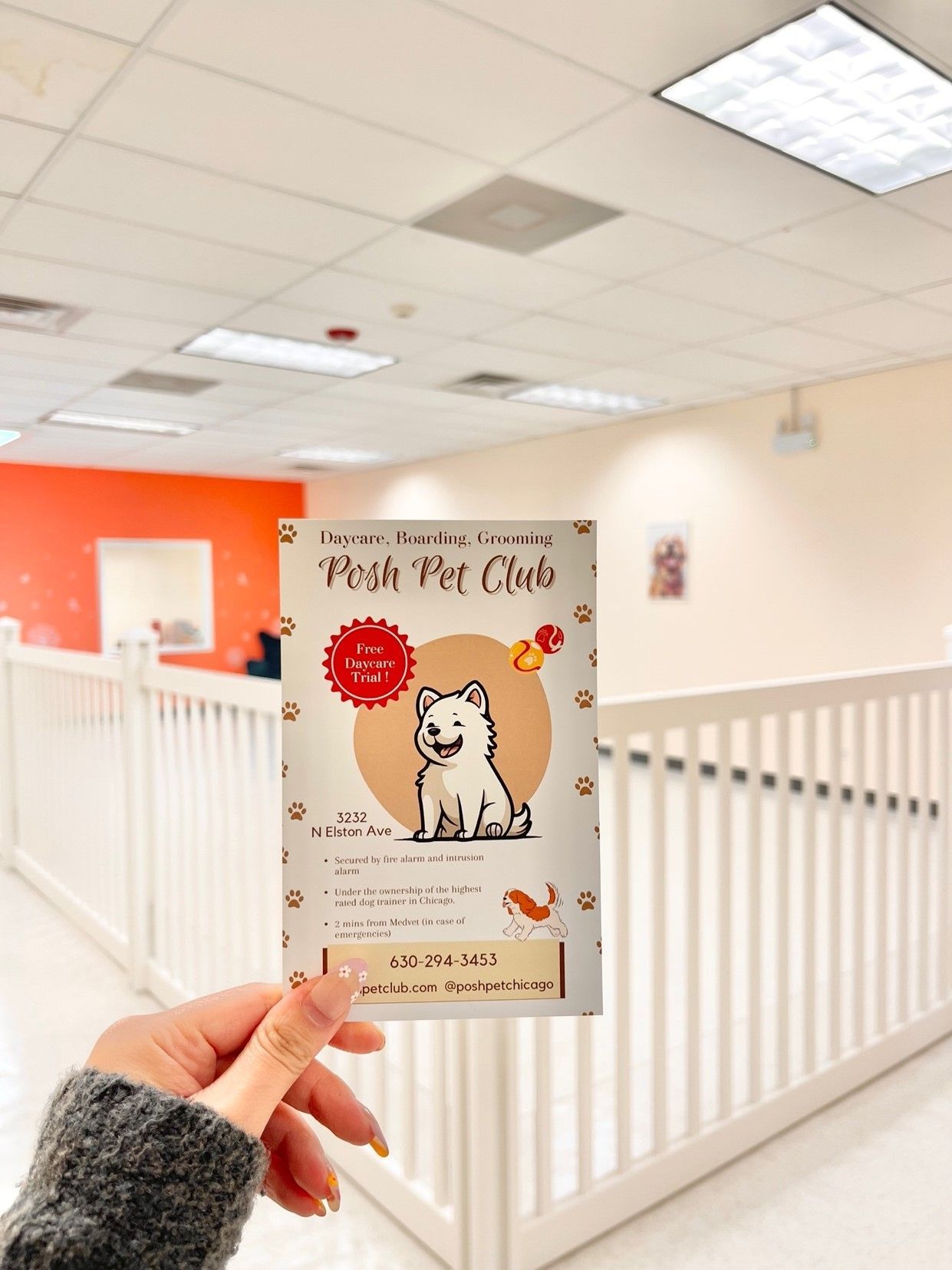 a person is holding a card with a picture of a dog on it