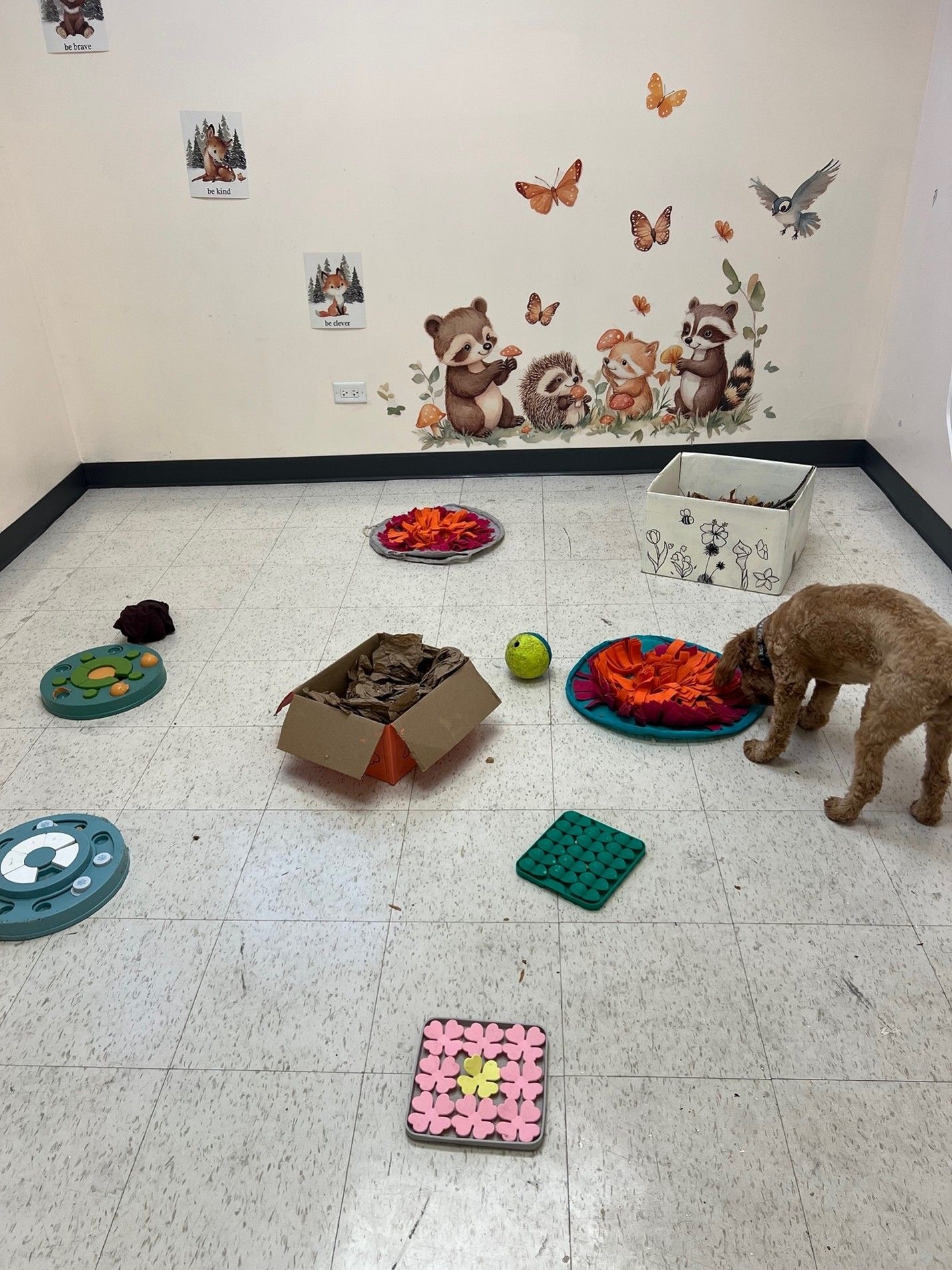 A golden dog sniffs a red fabric enrichment mat on the floor of a room with animal wall decals and various puzzle toys.