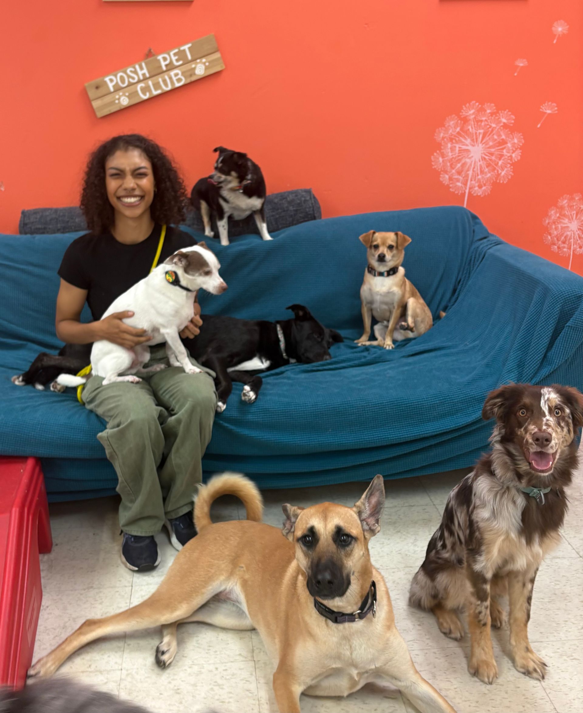 Zoe is holding a small white dog in front of a Christmas tree 