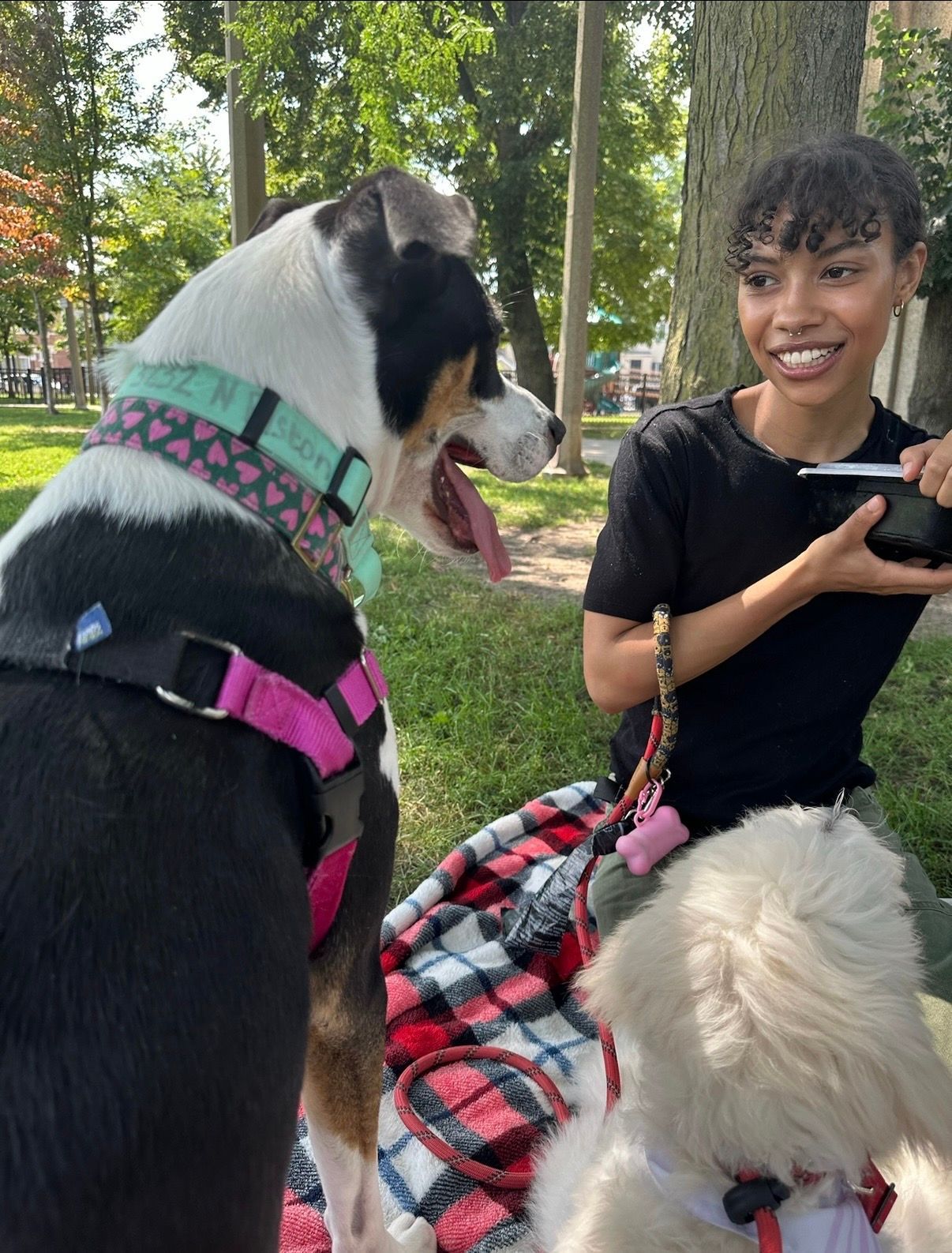 Woman petting a black-and-white dog in a park, with a white fluffy dog in the foreground.