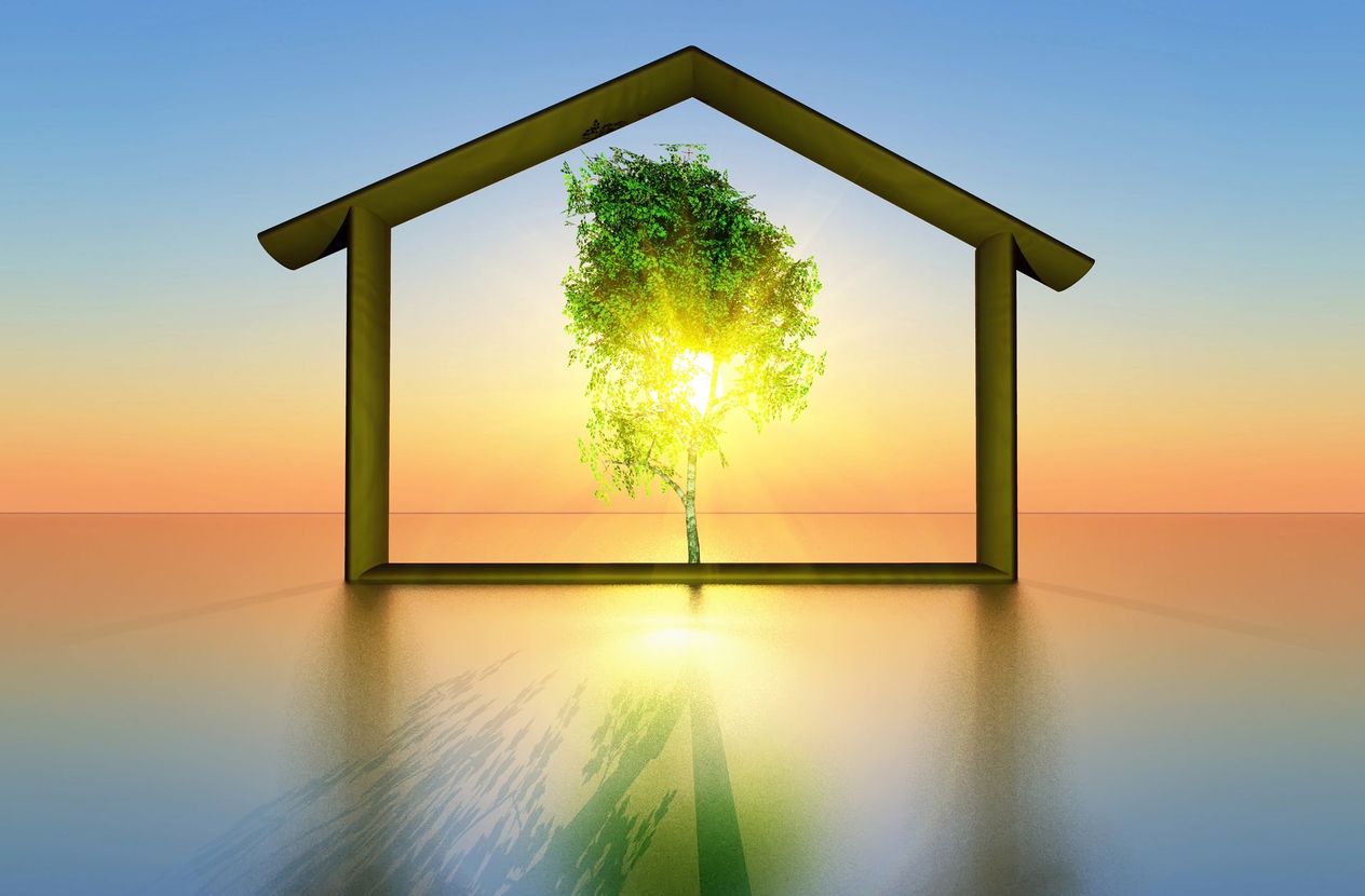 Un albero luminoso si staglia all'interno della sagoma di una casa, stagliandosi contro un orizzonte al tramonto e riflettendosi su una superficie liscia.
