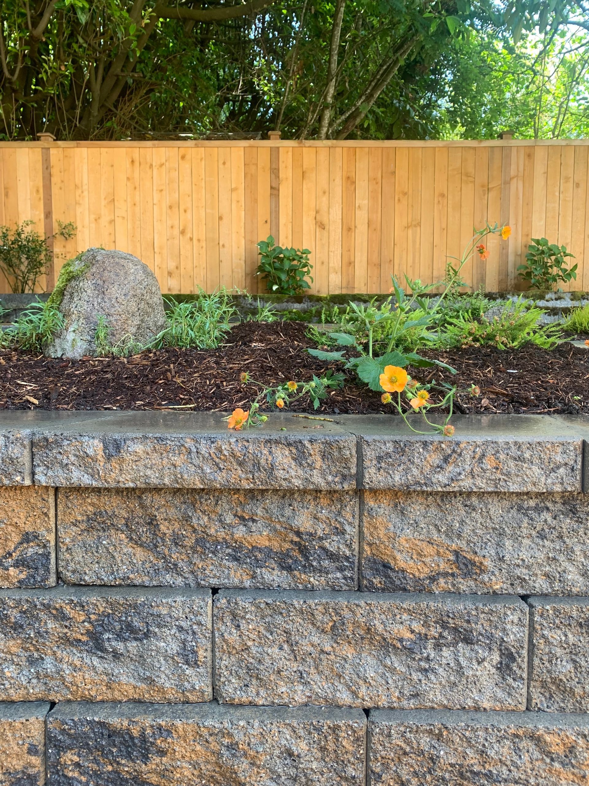 Backyard garden with stone retaining wall, mulch bed, flowers, and wooden fence under trees